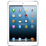  Apple iPad mini