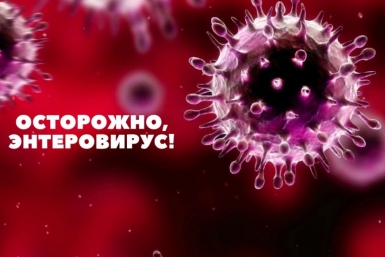 Энтеровирус Пресс-служба администрации Хабаровска