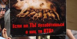 &quotМарш семьи&quot в Хабаровске Юлия Пушкина