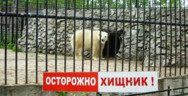 Повсюду стоят предупреждающие таблички Юлия Пушкина