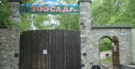 В зоосаде Юлия Пушкина