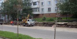 Спиленные деревья были сухостоем МБУ &quotГорзеленстрой&quot