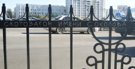 Установка &quotскотозагонов&quot Соколова нарушает права пешеходов Хабаровска Анна Харченко, РИА AmurMedia