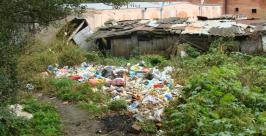 В муниципальном жилье в Хабаровске - кучи мусора и засилье крыс Андрей Швецов
