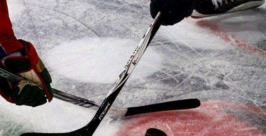 хоккей с шайбой www.khl.ru