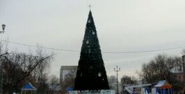 Площадь Блюхера Анна Незнанова