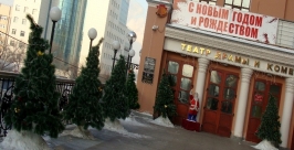 В новогоднее праздничное убранство облачились улицы Хабаровска Анна Незнанова