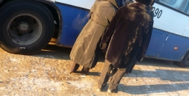 Не чистятся от снега также автобусные остановки Анна Незнанова
