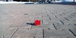 Цветок на асфальте Роман Федоров