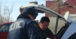 Проверка содержимого багажника Анастасия Афанасенко