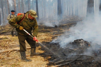 Все лесные пожары в Хабаровском крае потушены﻿ Пресс-служба министерства лесного хозяйства Хабаровского края
