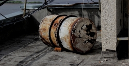 В краевой столице состоялся &quotПленэр на крыше&quot  Анна Незнанова