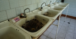 В умывальных комнатах ржавые раковины Елизавета Мыльникова