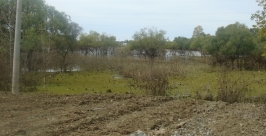 Вода ушла из заболоченной местности в районе улицы Кубяка Евгений Попов