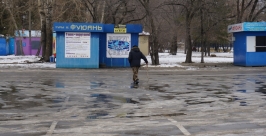Судьба хабаровского Хатико затронула души жителей города Роман Федоров