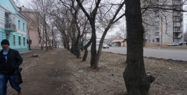 Комсомольск после зимы Анастасия Афанасенко