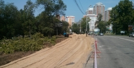 Расширение улицы Волочаевской Евгений Попов