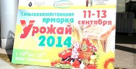 Самое свежее, вкусное и полезное предлагают хабаровчанам на сельхозярмарке &quotУрожай-2014&quot Роман Федоров, корр. ИА AmurMedia