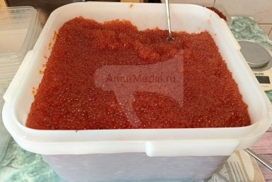 Тематическое фото ИА  AmurMedia