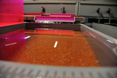 Тематическое фото Юрий Гуршал, ИА SakhalinMediа