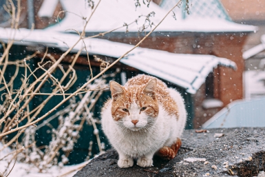 Тематическое фото Мария Смитюк, ИА PrimaMedia