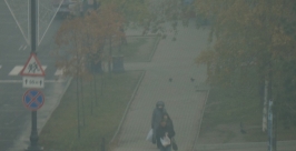 Смог Александра Мельник