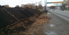 Строительство дамбы-памятника на Амурском затоне началось в Хабаровске Евгений Попов