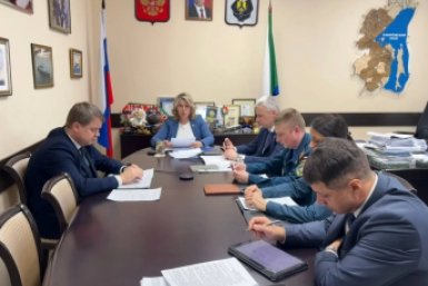 Готовиться к весенним паводкам начали в Хабаровском крае Пресс-служба комитета Правительства Хабаровского края по гражданской защите