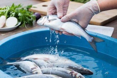 Тематическое фото GigaChat (18+)