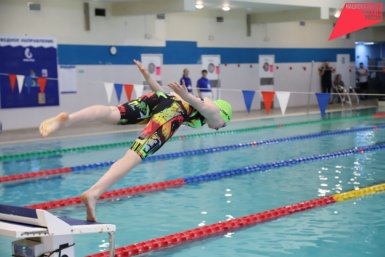 "Амурские тигрята", Игры боевых искусств:"Доступный спорт" продолжается в Хабаровском крае