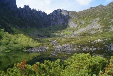 Тематическое фото &quotЗаповедник Буреинский&quot