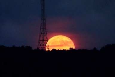 Тематическое фото Дмитрий Осипчук, ИА PrimaMedia.ru