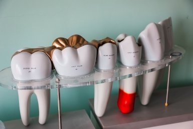 Тематическое фото Илья Аверьянов, ИА PrimaMedia.ru