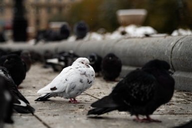 Тематическое фото ИА  AmurMedia