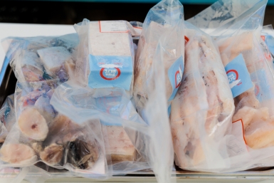 Рыба Евгений Кулешов, ИА PrimaMedia