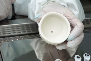 Тематическое фото пресс-служба правительства Приморского края