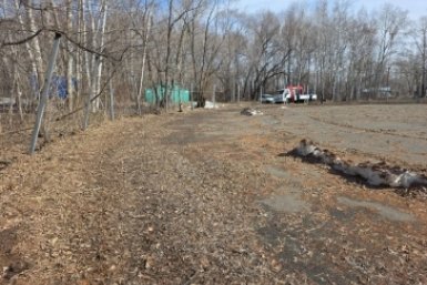 Ремонт кордодрома по нацпроекту начали в Комсомольске-на-Амуре