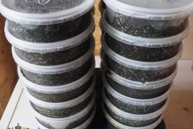 За незаконный оборот икры осетра перед судом предстанет житель Комсомольска-на-Амуре Дальневосточная транспортная прокуратура