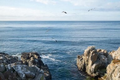 Новость дня