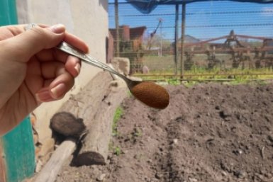 Мощнее навоза, компоста и селитры: рассыпаю эту муку после дождя в апреле - почва нежнее пухового облачка ИА SakhalinMedia