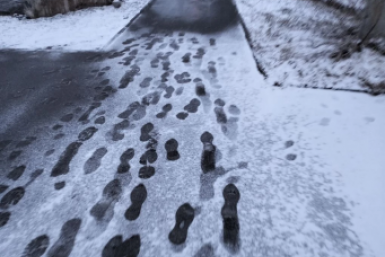 Пока вы спали: эксперимент по отсрочке, мама+папа+5 детей, HiPP с ядом, Дынька и Арбузик