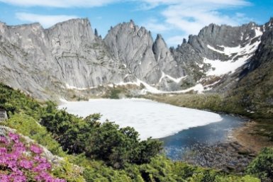 Новость дня