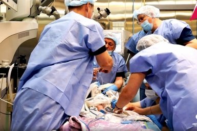 Хабаровские офтальмологи спасли зрение недоношенному младенцу