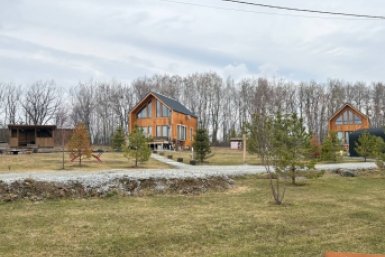 &quotСам ты кот&quot ИА AmurMedia