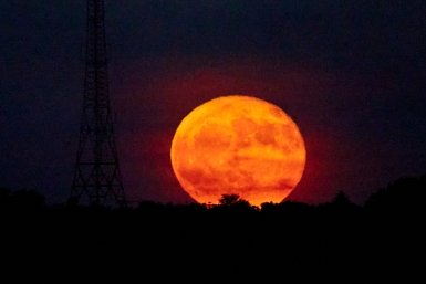 Цветочная Луна в Скорпионе: что ждать от самого напряженного полнолуния весны