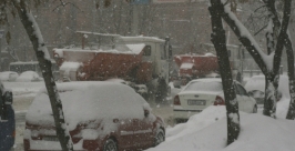 Снегопад Александра Мельник