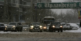 Снегопад Александра Мельник