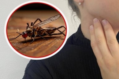 Положите это в карман - забудьте о комарах: не подлетят даже на метр в лесу Создано при помощи ИИ