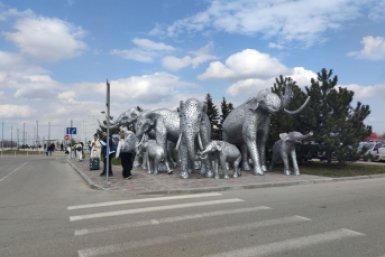 Появилась информация об отменах и задержках рейсов из аэропорта Ставрополя ИА Stavropol.Media