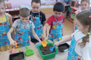 Два детских сада в Хабаровском крае получат по полмиллиона рублей Пресс-служба министерства образования и науки Хабаровского края